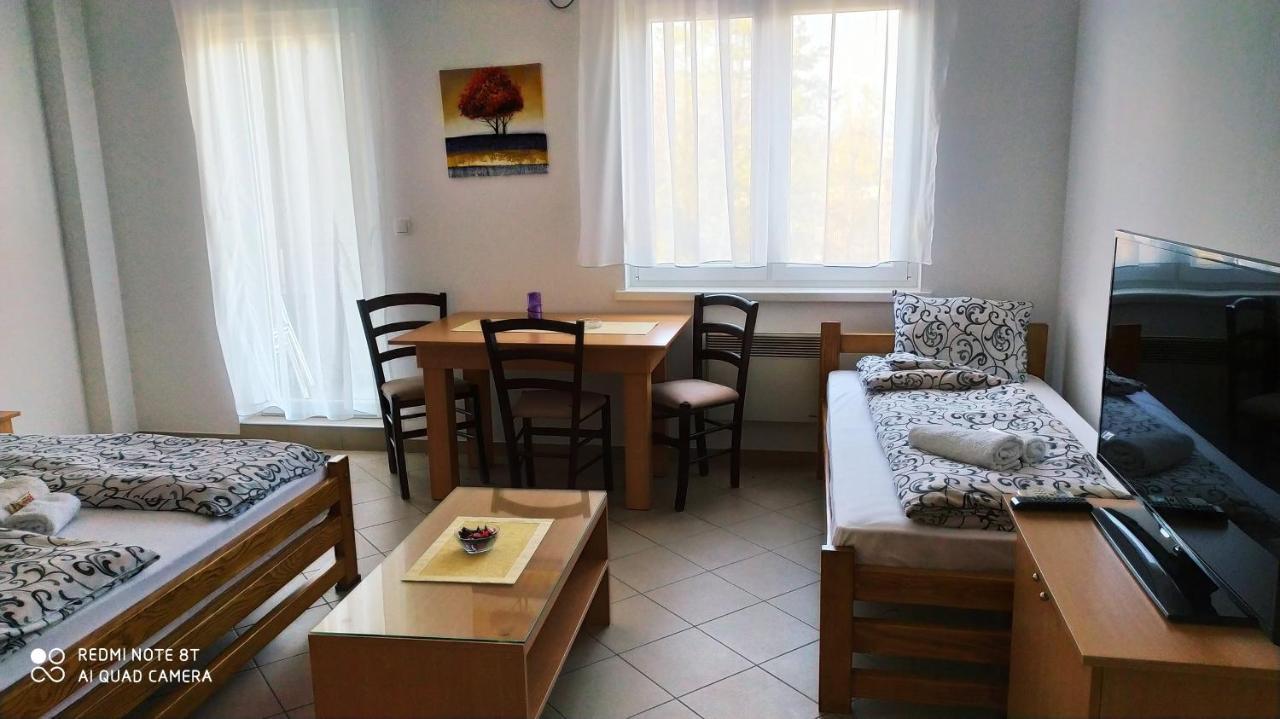 Apartmani - Vila Kovilje Banja Koviljača Esterno foto