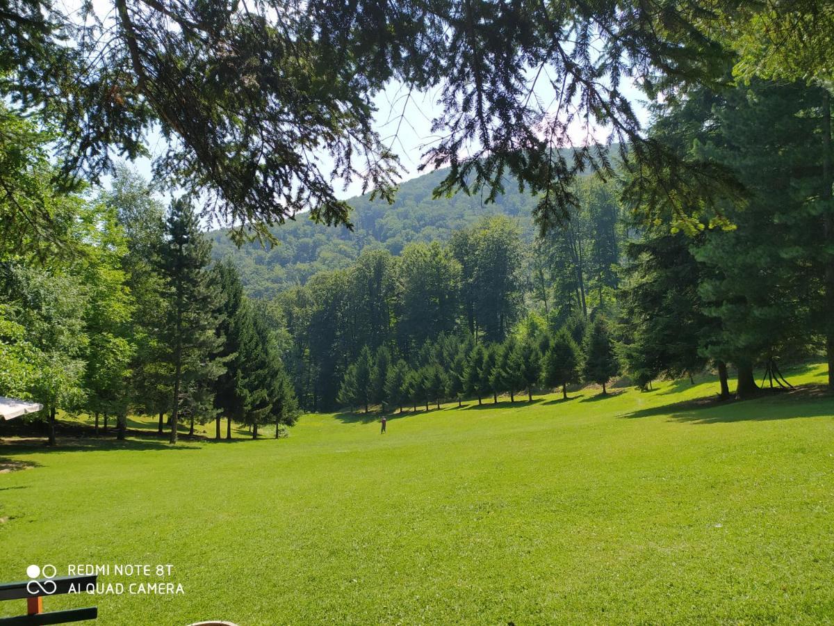 Apartmani - Vila Kovilje Banja Koviljača Esterno foto
