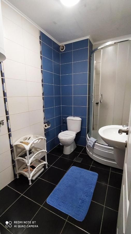 Apartmani - Vila Kovilje Banja Koviljača Esterno foto