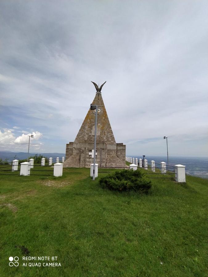 Apartmani - Vila Kovilje Banja Koviljača Esterno foto