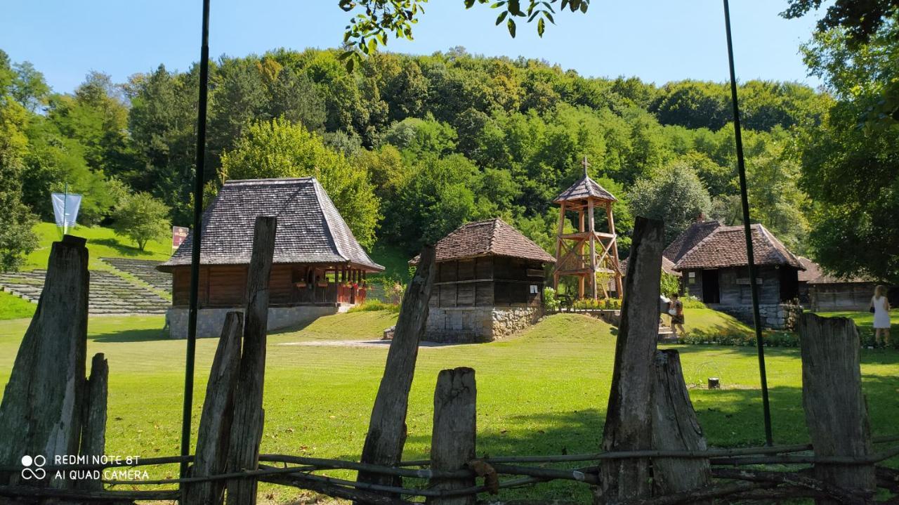 Apartmani - Vila Kovilje Banja Koviljača Esterno foto