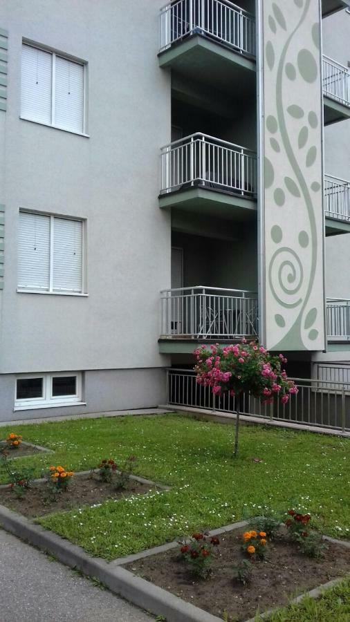 Apartmani - Vila Kovilje Banja Koviljača Esterno foto