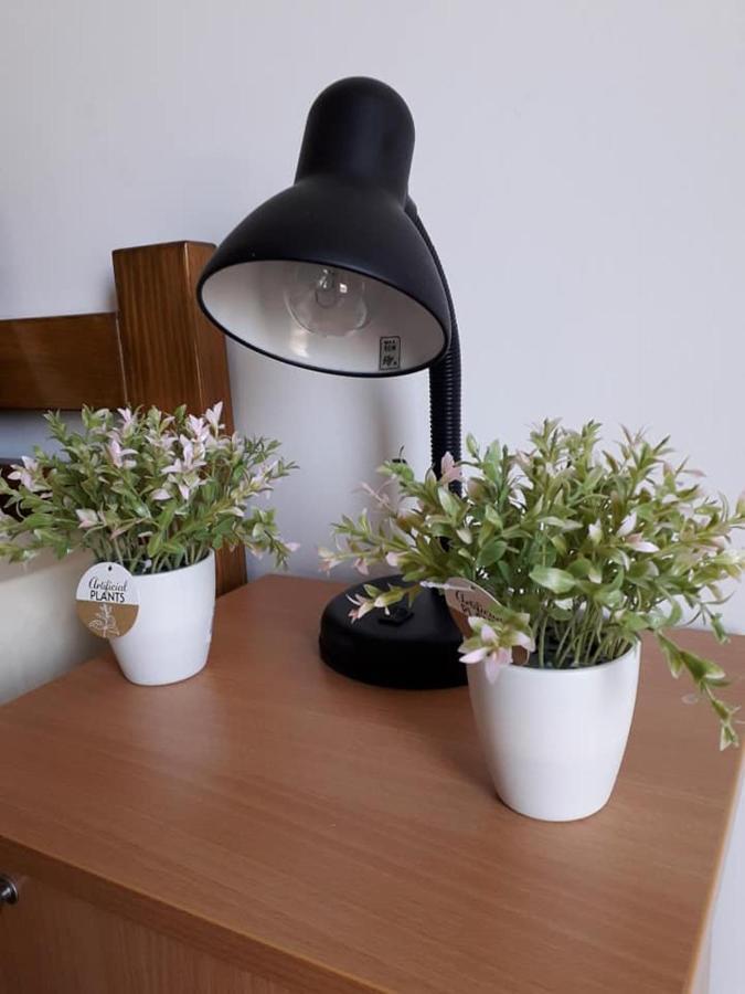Apartmani - Vila Kovilje Banja Koviljača Esterno foto