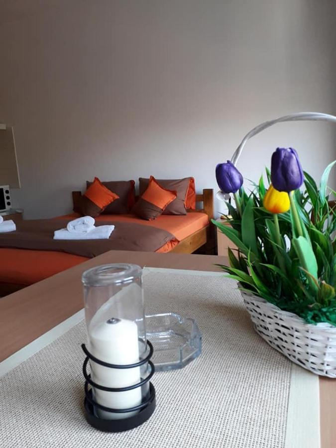 Apartmani - Vila Kovilje Banja Koviljača Esterno foto